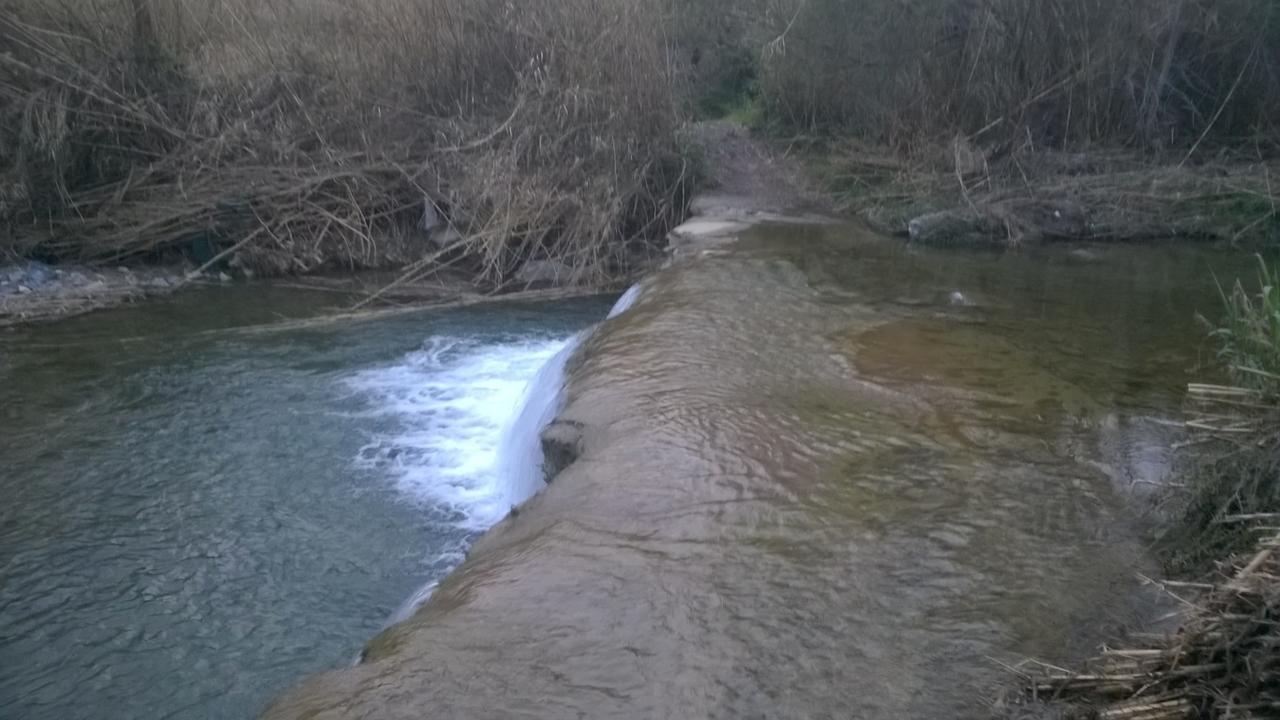 Отель Bella Liguria Diano San Pietro Экстерьер фото
